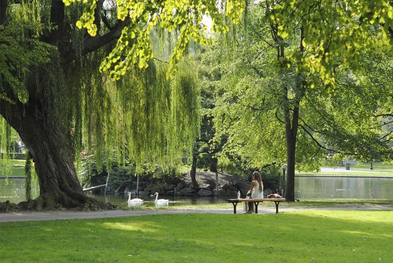 8e051c9b2bbef2dbfed47b8ec60629807ac99c43.jpg